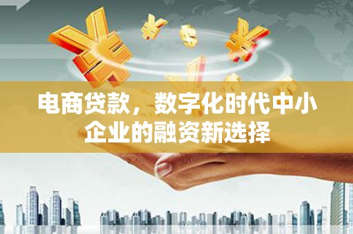 岳麓电商贷款，数字化时代中小企业的融资新选择