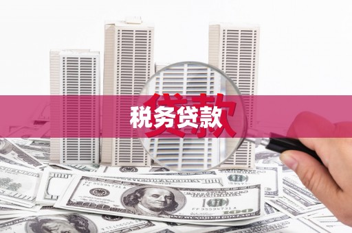 岳麓税务贷款