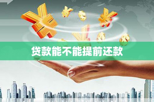 岳麓贷款能不能提前还款
