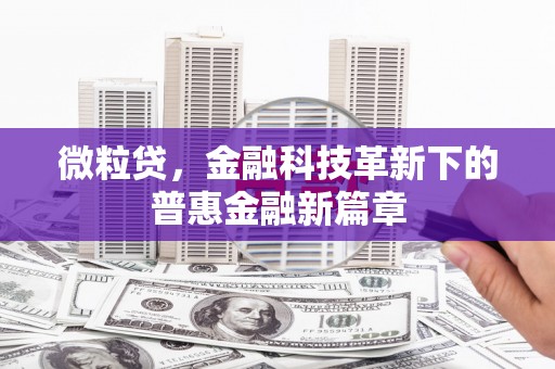 岳麓微粒贷，金融科技革新下的普惠金融新篇章