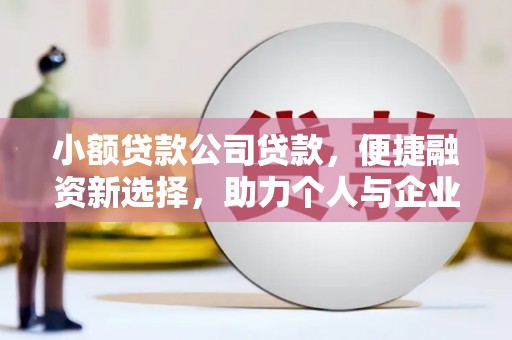 岳麓小额贷款公司贷款，便捷融资新选择，助力个人与企业成长
