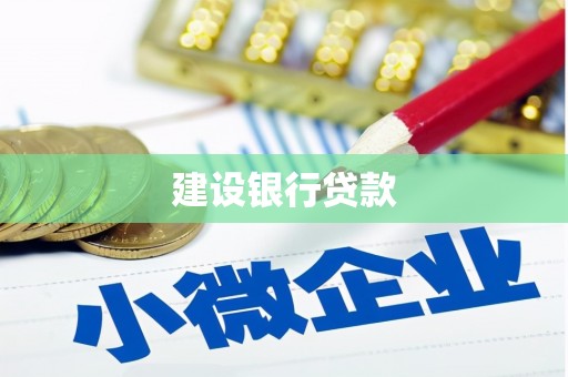 岳麓建设银行贷款