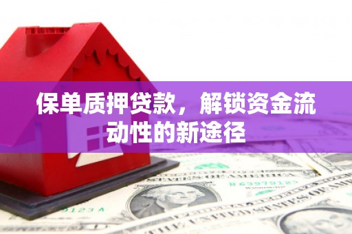 岳麓保单质押贷款，解锁资金流动性的新途径