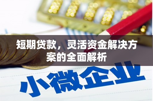 岳麓短期贷款，灵活资金解决方案的全面解析