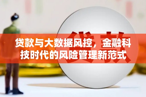岳麓贷款与大数据风控，金融科技时代的风险管理新范式