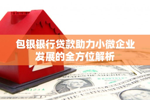 岳麓包银银行贷款助力小微企业发展的全方位解析