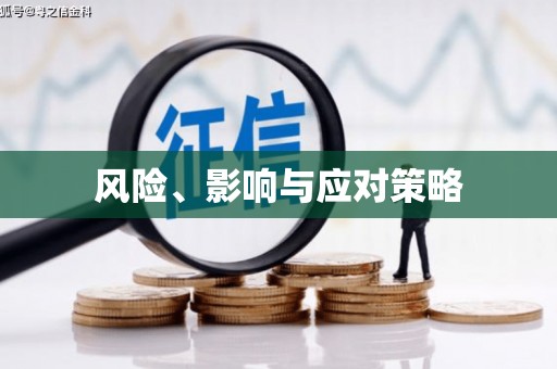 岳麓风险、影响与应对策略