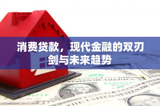 岳麓消费贷款，现代金融的双刃剑与未来趋势