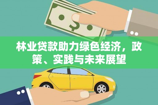 岳麓林业贷款助力绿色经济，政策、实践与未来展望