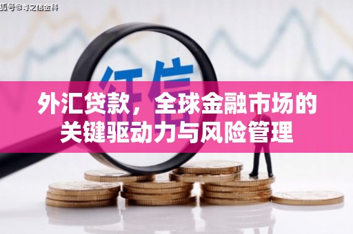 岳麓外汇贷款，全球金融市场的关键驱动力与风险管理