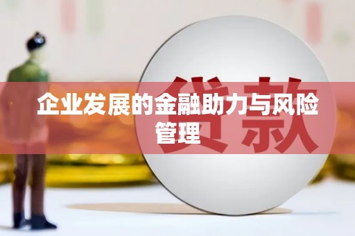 岳麓企业发展的金融助力与风险管理