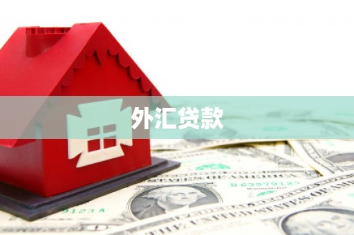岳麓外汇贷款