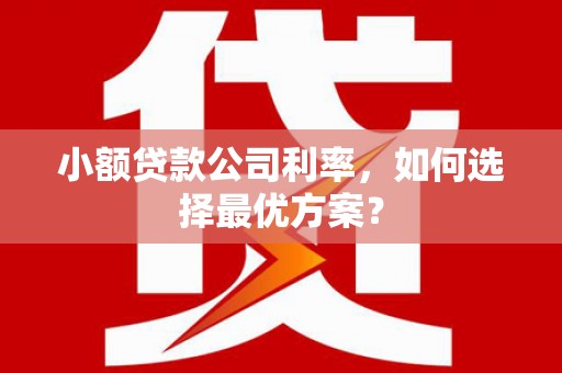 岳麓小额贷款公司利率，如何选择最优方案？