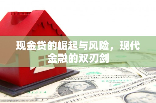 岳麓现金贷的崛起与风险，现代金融的双刃剑