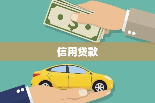 岳麓信用贷款