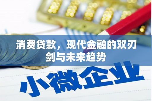 岳麓消费贷款，现代金融的双刃剑与未来趋势
