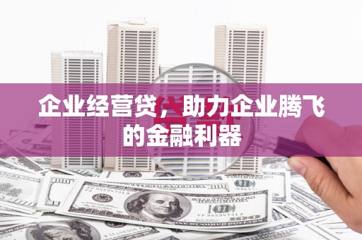 岳麓企业经营贷，助力企业腾飞的金融利器