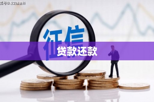 岳麓贷款还款