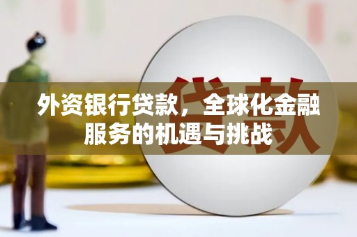 岳麓外资银行贷款，全球化金融服务的机遇与挑战