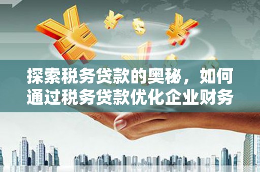 岳麓探索税务贷款的奥秘，如何通过税务贷款优化企业财务