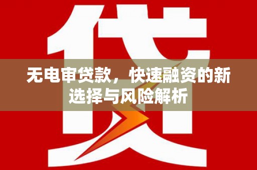 岳麓无电审贷款，快速融资的新选择与风险解析