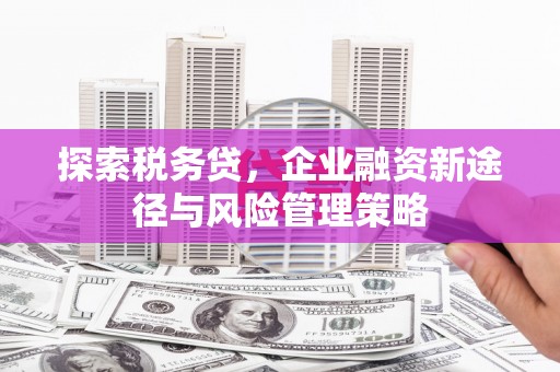 岳麓探索税务贷，企业融资新途径与风险管理策略