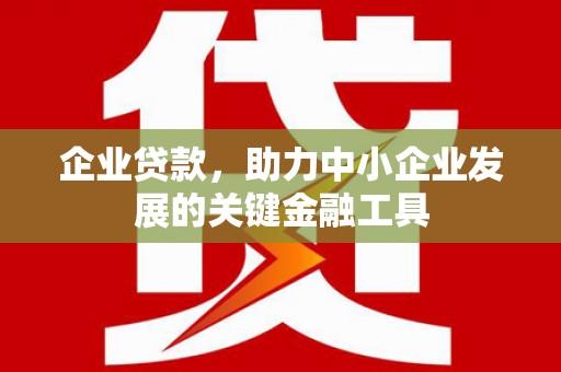 岳麓企业贷款，助力中小企业发展的关键金融工具
