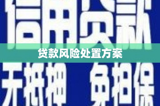 岳麓贷款风险处置方案