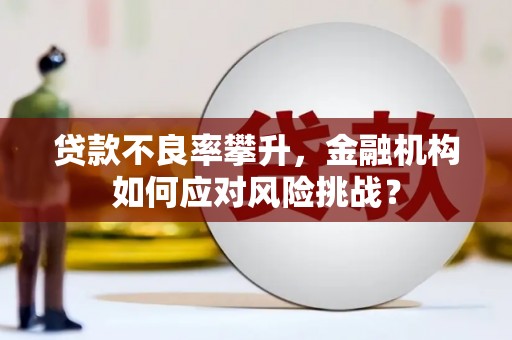 岳麓贷款不良率攀升，金融机构如何应对风险挑战？