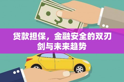 岳麓贷款担保，金融安全的双刃剑与未来趋势