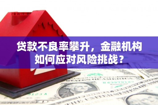 岳麓贷款不良率攀升，金融机构如何应对风险挑战？