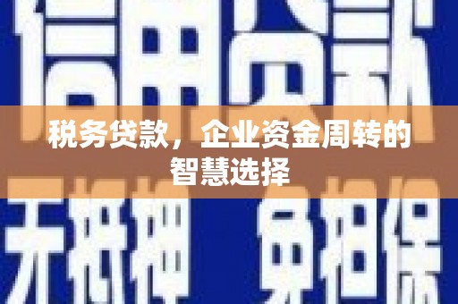 岳麓税务贷款，企业资金周转的智慧选择