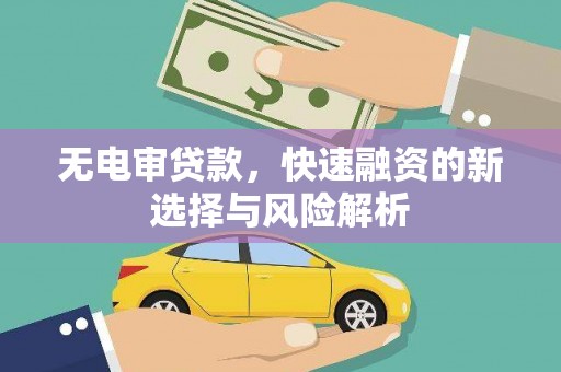 岳麓无电审贷款，快速融资的新选择与风险解析