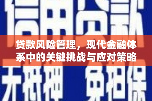 岳麓贷款风险管理，现代金融体系中的关键挑战与应对策略
