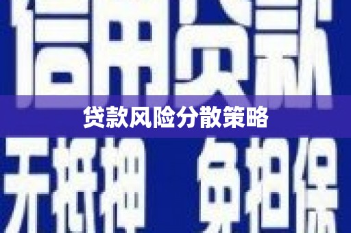 岳麓贷款风险分散策略