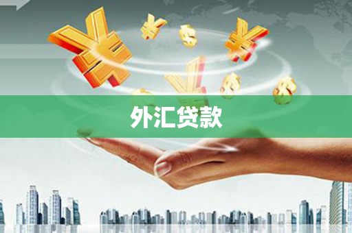 岳麓外汇贷款