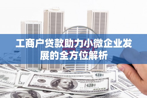 岳麓工商户贷款助力小微企业发展的全方位解析