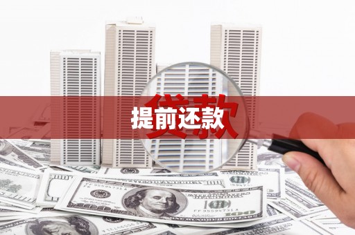 岳麓提前还款