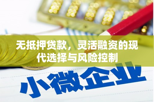 岳麓无抵押贷款，灵活融资的现代选择与风险控制