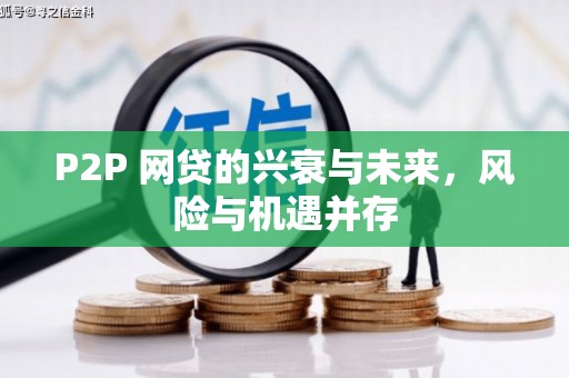岳麓P2P 网贷的兴衰与未来，风险与机遇并存