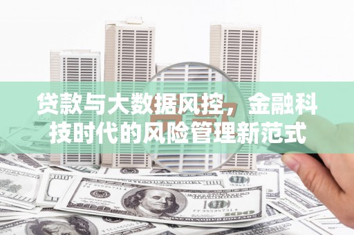 岳麓贷款与大数据风控，金融科技时代的风险管理新范式