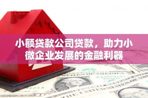 岳麓小额贷款公司贷款，助力小微企业发展的金融利器