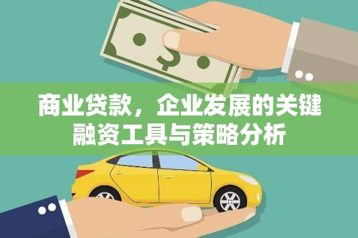 岳麓商业贷款，企业发展的关键融资工具与策略分析
