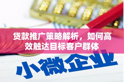 岳麓贷款推广策略解析，如何高效触达目标客户群体