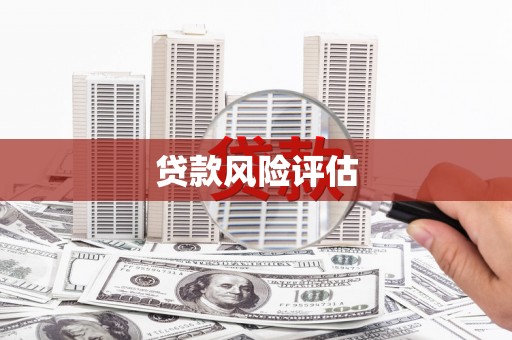 岳麓贷款风险评估
