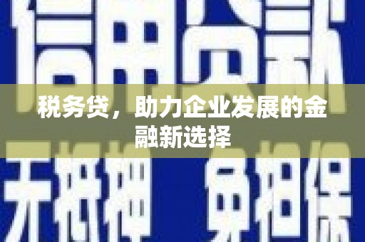岳麓税务贷，助力企业发展的金融新选择