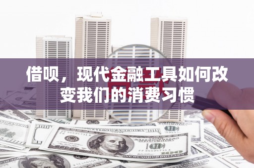 岳麓借呗，现代金融工具如何改变我们的消费习惯