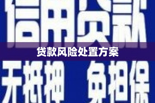 岳麓贷款风险处置方案