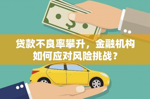 岳麓贷款不良率攀升，金融机构如何应对风险挑战？