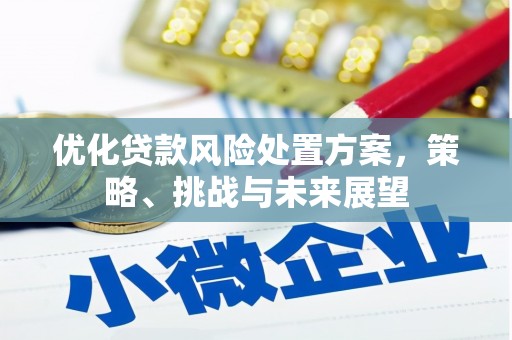 岳麓优化贷款风险处置方案，策略、挑战与未来展望